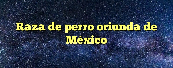 Raza de perro oriunda de México